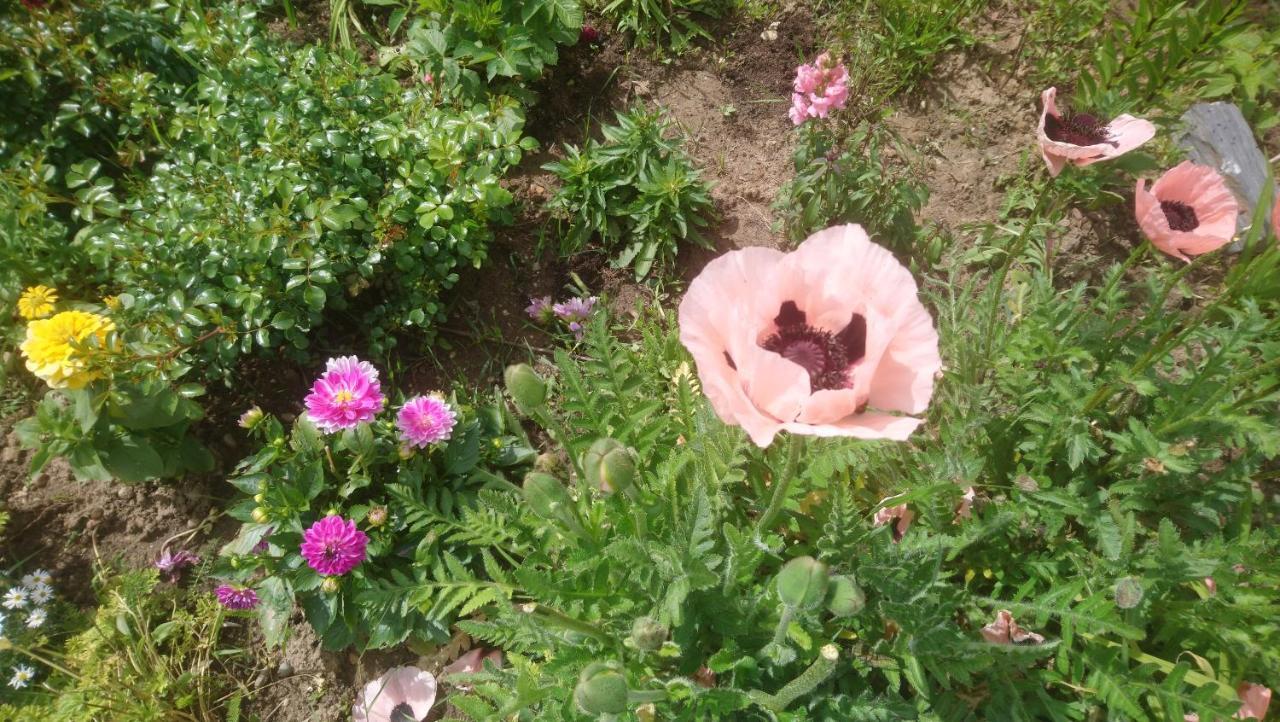 Le Bonheur A Portee De Mains Bergerac Exteriér fotografie